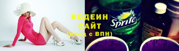 шишки Инта