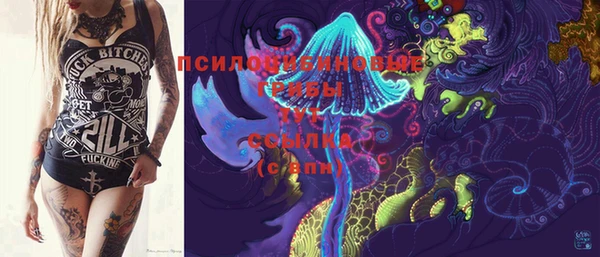 меф Белокуриха