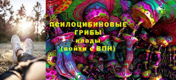 меф Белокуриха