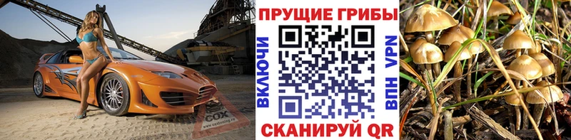 Галлюциногенные грибы GOLDEN TEACHER  где найти   Волхов 